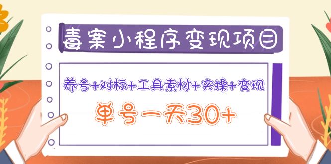 【副业项目4214期】图文案小程序变现项目：养号+对标+工具素材+实操+变现，单号一天30+-蓝图副业
