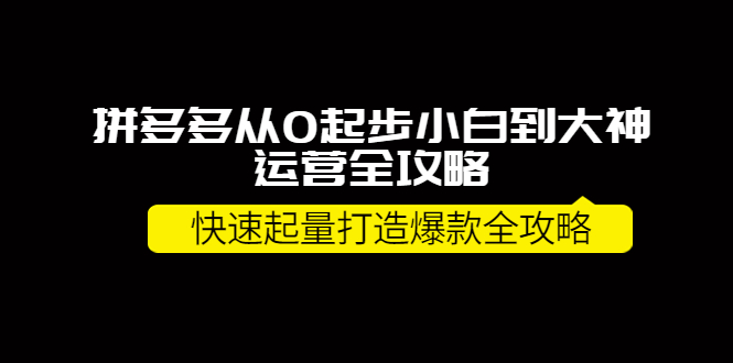 【副业项目4227期】拼多多从0起步小白到大神运营全攻略，快速起量打造10W+爆款全攻略-蓝图副业