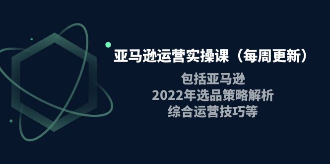 【副业项目4284期】亚马逊运营实操课：包括亚马逊2022选品策略解析，综合运营技巧等-蓝图副业
