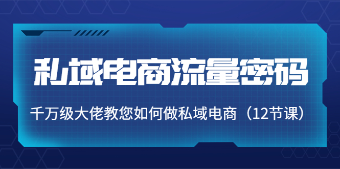 【副业项目4297期】私域电商流量密码：千万级大佬教您如何做私域电商（12节课）-蓝图副业