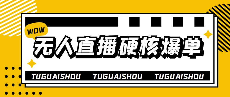 【副业项目4299期】大飞无人直播硬核爆单技术，轻松玩转无人直播，暴利躺赚-蓝图副业
