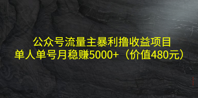 【副业项目4325期】公众号流量主暴利撸收益项目，单人单号月稳赚5000+（价值480元-蓝图副业