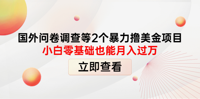 【副业项目4372期】国外问卷调查等2个暴力撸美金项目，小白零基础也能月入过万-蓝图副业