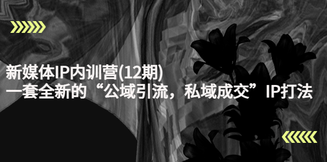 【副业项目4405期】新媒体IP内训营(12期)：一套全新的“公域引流，私域成交”IP打法，直接带走-蓝图副业