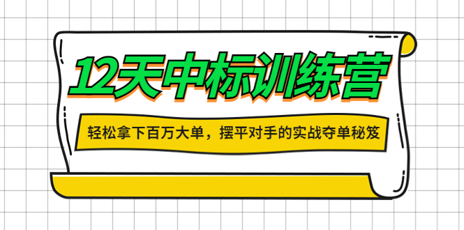 【副业项目4416期】12天中标训练营：轻松拿下百万大单，摆平对手的实战夺单秘笈-蓝图副业