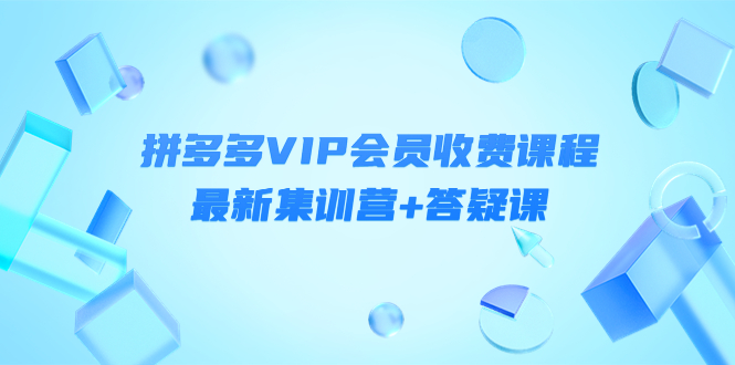 【副业项目4426期】某社群·拼多多VIP会员收费课程，最新集训营+答疑课-价值3299元-蓝图副业