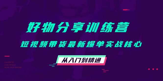 【副业项目4585期】好物分享训练营：短视频带货最新爆单实战核心，从入门到精通-蓝图副业