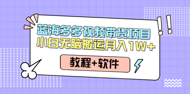 【副业项目4612期】人人都能操作的蓝海多多视频带货项目 小白无脑搬运月入10000+（教程+软件）-蓝图副业