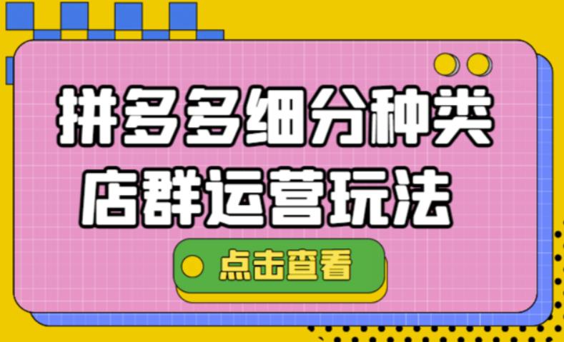 【副业项目4641期】拼多多细分种类店群运营玩法3.0，11月最新玩法，小白也可以操作-蓝图副业