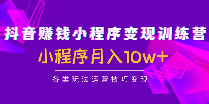 【副业项目4765期】抖音赚钱小程序变现训练营：小程序月入10w+各类玩法运营技巧变现-蓝图副业
