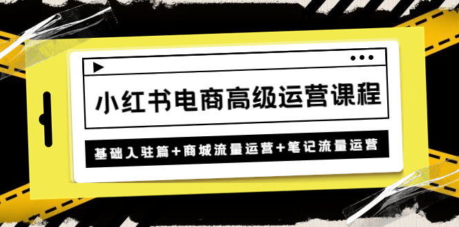 【副业项目4879期】小红书电商高级运营课程：基础入驻篇+商城流量运营+笔记流量运营-蓝图副业