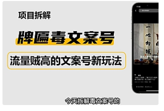 【副业项目4912期】2023抖音快手毒文案新玩法，牌匾文案号，起号快易变现-蓝图副业