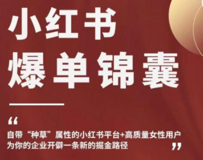 【副业项目4942期】小红书爆单锦囊，自带种草属性+高质量女性用户，为你的企业开辟一条新的掘金路径-蓝图副业