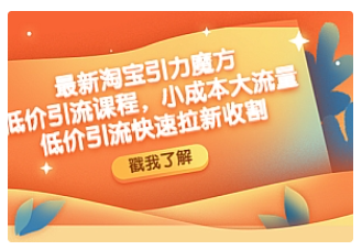 【副业项目4943期】最新淘宝引力魔方低价引流实操：小成本大流量，低价引流快速拉新收割-蓝图副业
