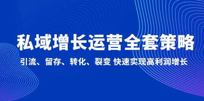 【副业项目5128期】私域增长运营全套策略：引流、留存、转化、裂变 快速实现高利润增长-蓝图副业