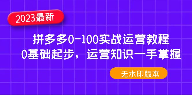 【副业项目5048期】2023拼多多0-100实战运营教程，0基础起步，运营知识一手掌握-蓝图副业