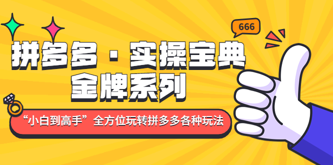 【副业项目5130期】拼多多·实操宝典：金牌系列“小白到高手”带你全方位玩转拼多多各种玩法-蓝图副业