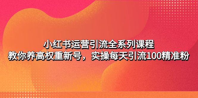 【副业项目5144期】小红书运营引流全系列课程：教你养高权重新号，实操每天引流100精准粉-蓝图副业