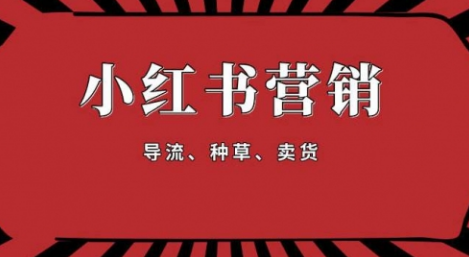 【副业项目1917期】手把手教做小红书帐号，一篇笔记涨粉10000，月入十万的博主秘笈-蓝图副业