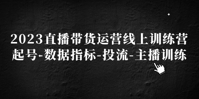 【副业项目5282期】2023直播带货运营线上训练营，起号-数据指标-投流-主播训练-蓝图副业
