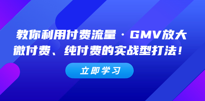 【副业项目5265期】教你利用付费流量·GMV放大，微付费、纯付费的实战型打法-蓝图副业