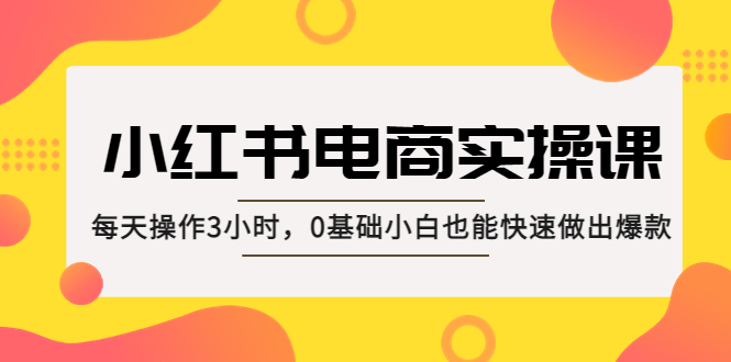 【副业项目5332期】小红书·电商实操课：每天操作3小时，0基础小白也能快速做出爆款-蓝图副业
