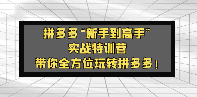 【副业项目5317期】拼多多“新手到高手”实战特训营：带你全方位玩转拼多多-蓝图副业