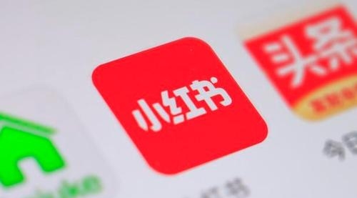 【副业项目2046期】2021 年小红书策划运营方案与报告 爆款打造秘籍-蓝图副业