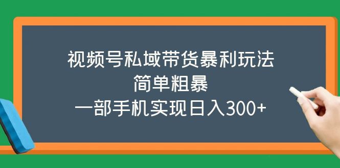 【副业项目5627期】视频号私域带货暴利玩法，简单粗暴，一部手机实现日入300+-蓝图副业