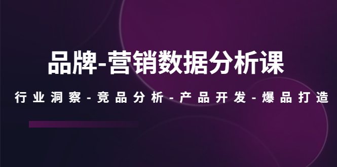 【副业项目5644期】品牌-营销数据分析课，行业洞察-竞品分析-产品开发-爆品打造-蓝图副业