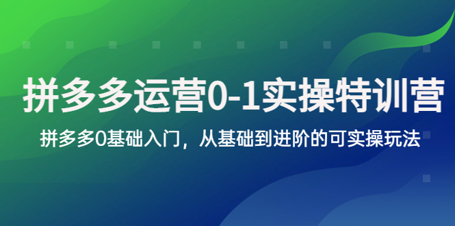 【副业项目5801期】拼多多-运营0-1实操训练营，拼多多0基础入门，从基础到进阶的可实操玩法-蓝图副业