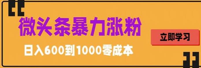 【副业项目5970期】微头条暴力涨粉技巧搬运文案就能涨几万粉丝，简单0成本，日赚600-蓝图副业