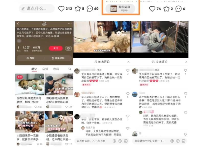 【副业项目5898期】小红书蓝海类赛道：小动物打赏与购买变现副业项目，一条龙玩法分享给你！-蓝图副业