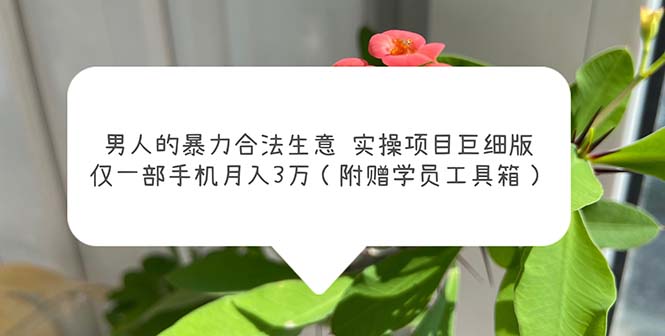 【副业项目5982期】男人的暴力合法生意实操项目巨细版：仅一部手机月入3w（附赠学员工具箱）-蓝图副业