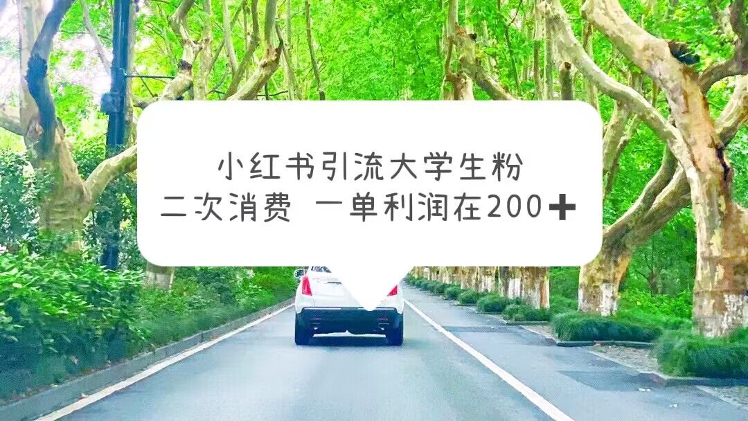 【副业项目5937期】小红书引流大学生粉，变现项目，一单利润在200+（教程+资源）-蓝图副业