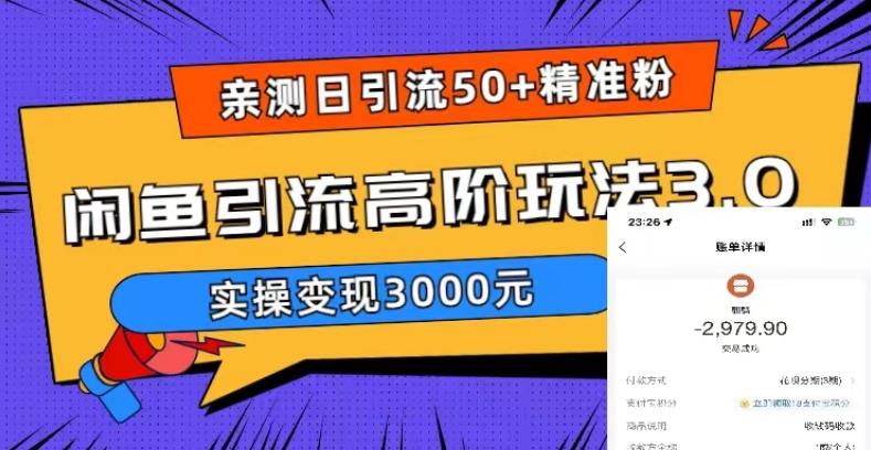 【副业项目5795期】实测日引50+精准粉，闲鱼引流高阶玩法3.0，实操变现3000元-蓝图副业