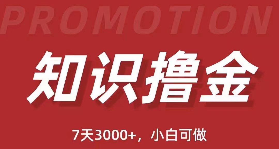 【副业项目5702期】抖音知识撸金项目：简单粗暴日入1000+执行力强当天见收益(教程+资料)-蓝图副业