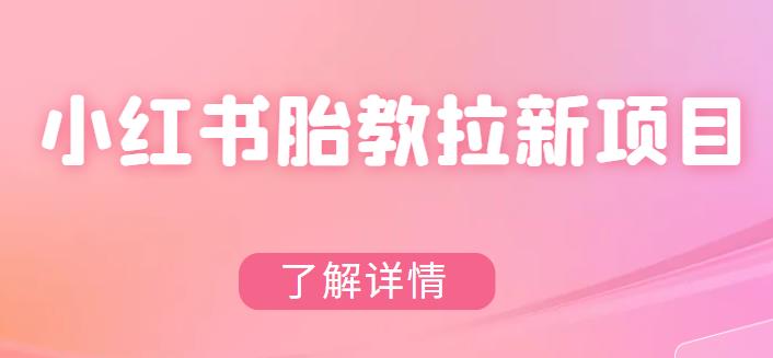 【副业项目6099期】小红书胎教网盘拉新项目，可在私域变现两次（作品制作教程+素材）-蓝图副业