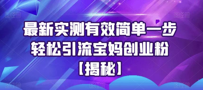 【副业项目6204期】最新实测有效简单一步轻松引流宝妈创业粉【揭秘】-蓝图副业