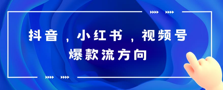 【副业项目6104期】抖音，小红书，视频号爆款流视频制作，简单制作掌握流量密码-蓝图副业