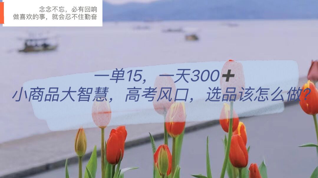 【副业项目6119期】一单15，一天300+，小商品大智慧，高考风口，选品该怎么布局-蓝图副业