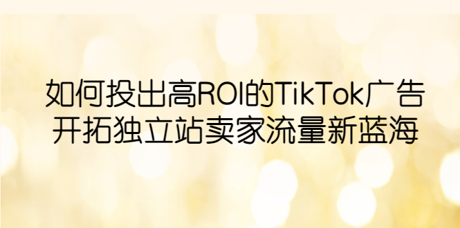 【副业项目6124期】如何投出高ROI·TikTok广告，开拓独立站卖家流量新蓝海-蓝图副业