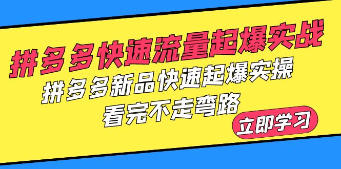【副业项目6310期】拼多多-快速流量起爆实战，拼多多新品快速起爆实操，看完不走弯路-蓝图副业