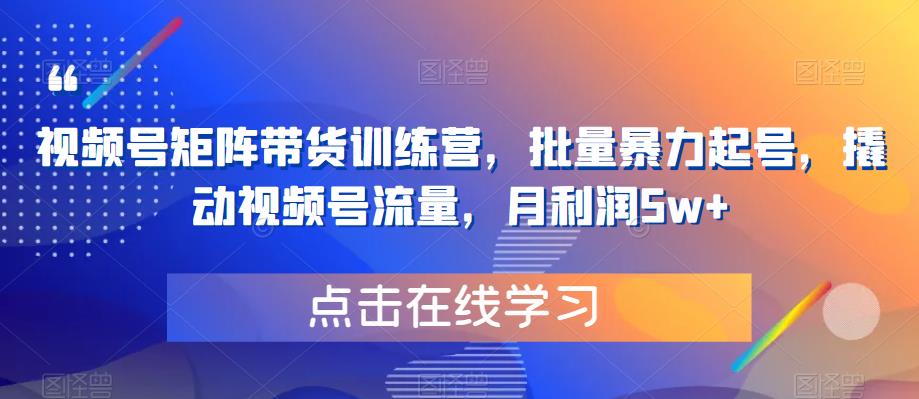【副业项目6254期】视频号矩阵带货训练营，批量暴力起号，撬动视频号流量，月利润5w+-蓝图副业