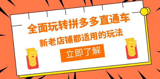 【副业项目6359期】全面玩转拼多多直通车，新老店铺都适用的玩法（12节精华课）-蓝图副业