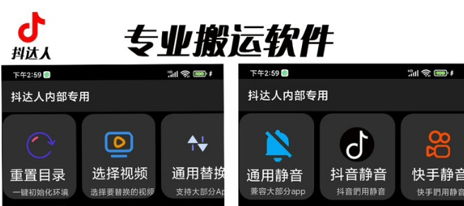 【副业项目6743期】对外收费699抖音傻瓜式一键搬运，起号专用5分钟一个视频《软件+详细教程》-蓝图副业