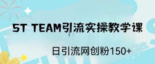 【副业项目6745期】ST TEAM引流实操课，日引流网创粉100+-蓝图副业