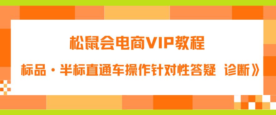 【副业项目6373期】松鼠会电商VIP教程：松鼠《付费推广标品·半标直通车操作针对性答疑&诊断》-蓝图副业