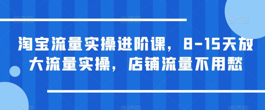 【副业项目6415期】淘宝流量实操进阶课，8-15天放大流量实操，店铺流量不用愁-蓝图副业