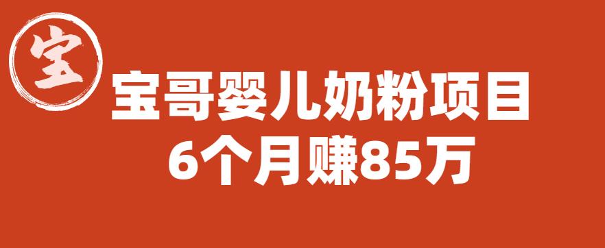 【副业项目6416期】宝哥婴儿奶粉项目，6个月赚85w【图文非视频】【揭秘】-蓝图副业
